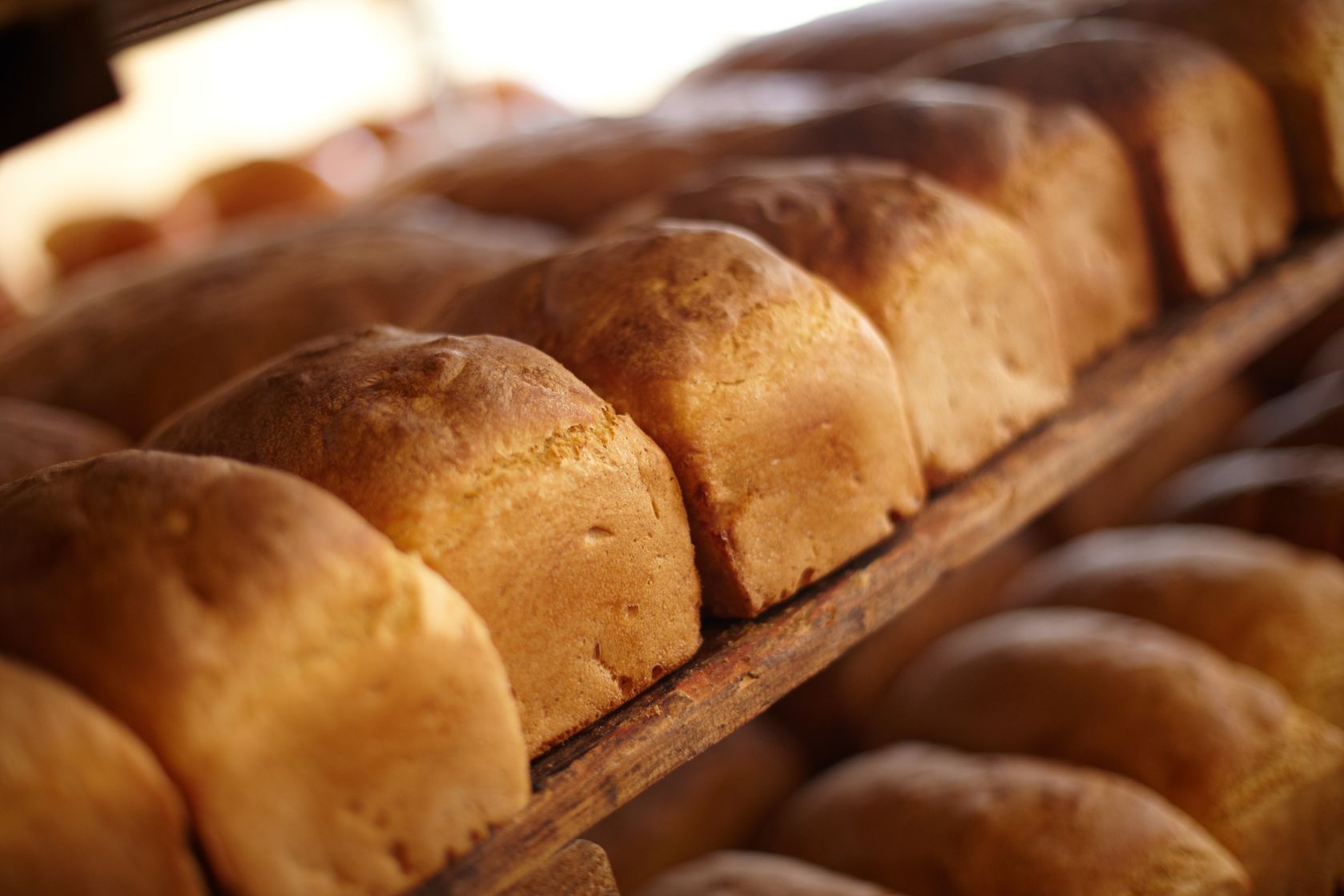 Bread Makes You Fat Eat Bread 90