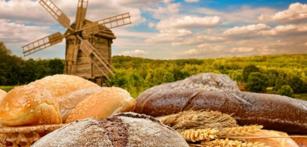 windmill bread dutch