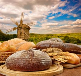 windmill bread dutch