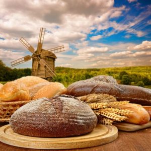 windmill bread dutch