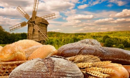 windmill bread dutch